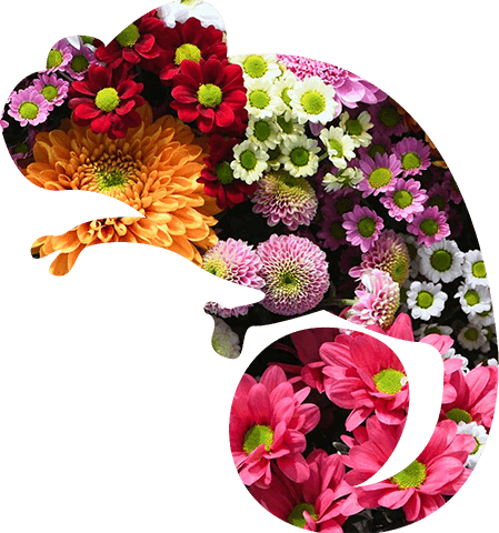 Fleuriste Kallisté